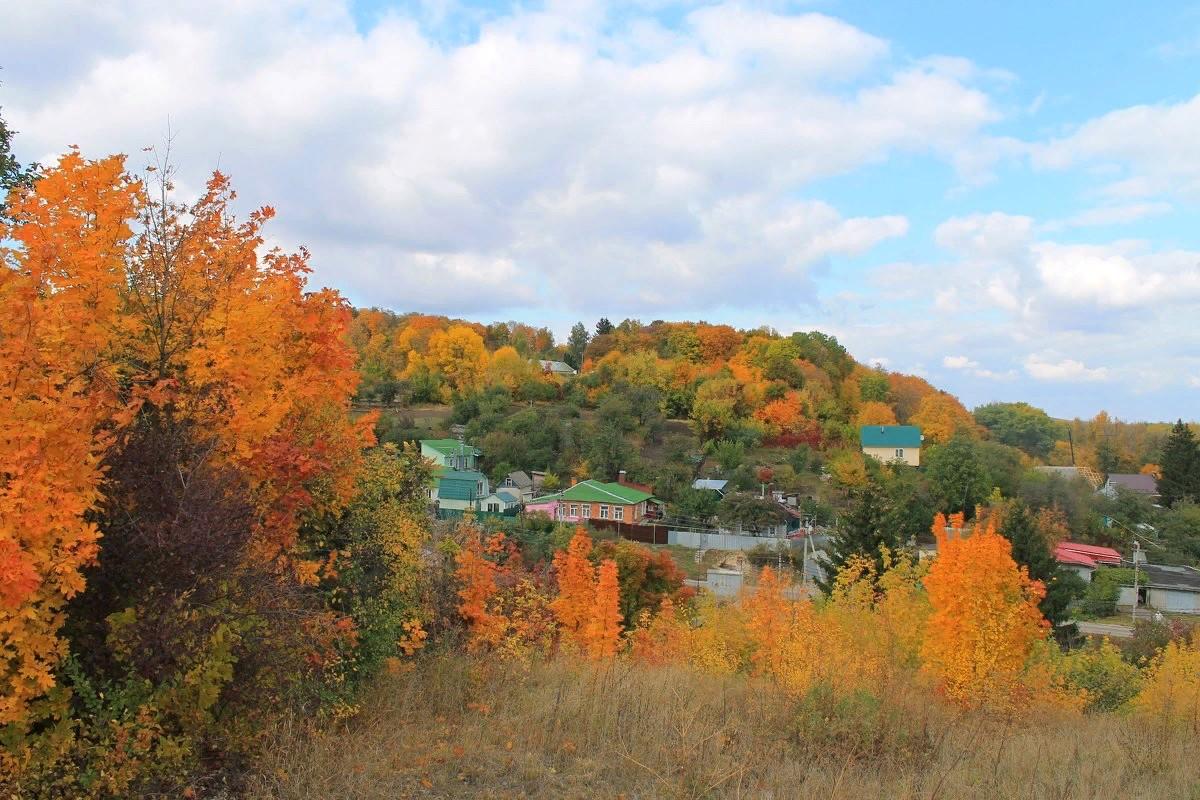 Золото курская область. Осень в Курске. Курск осенью. Золотая осень Шебекино. Осень Курская область.