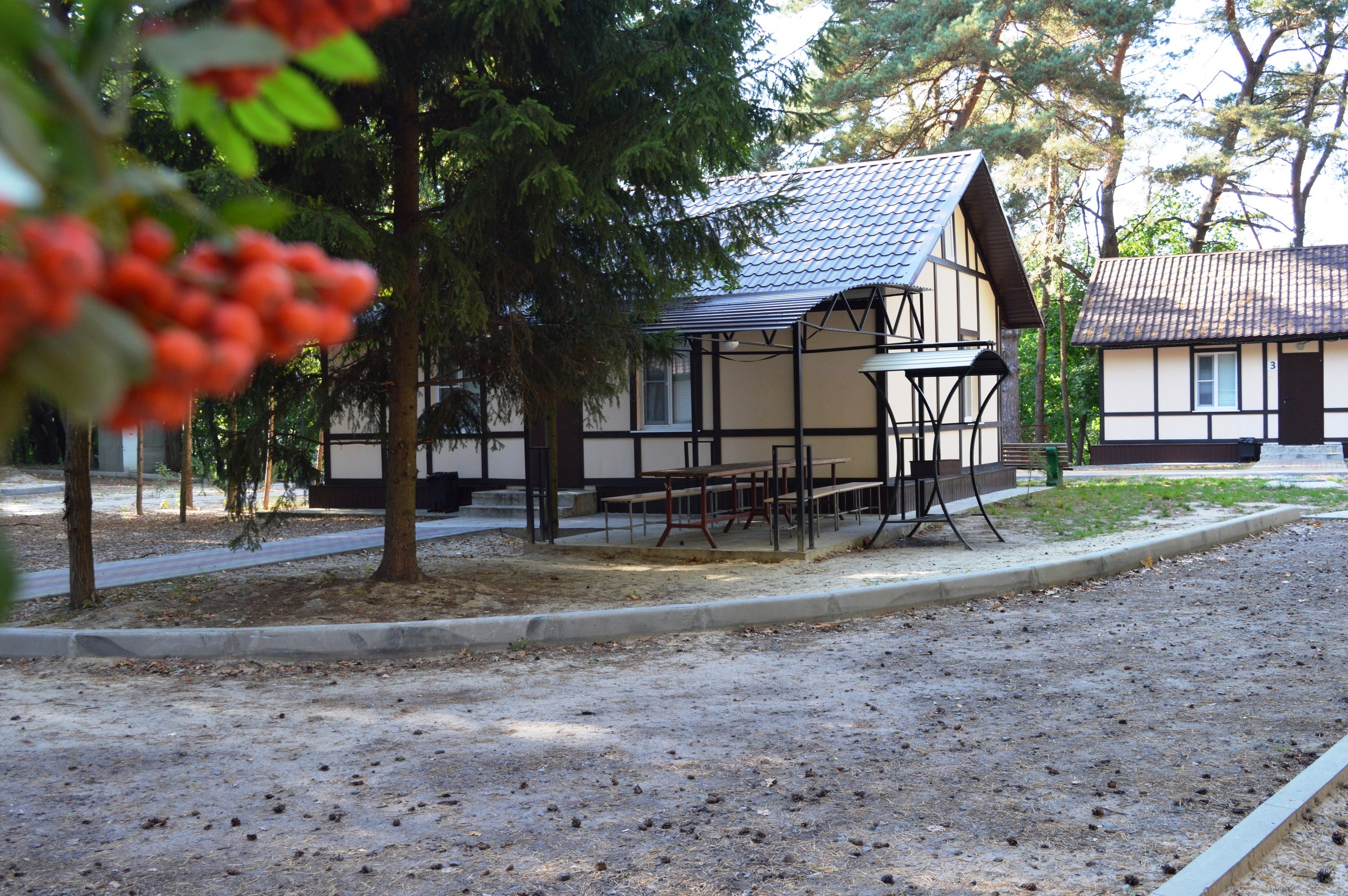 Рахоль база отдыха. Рахоль Курск. Турбаза Рахоль. Дичня (Курская область) озеро Рахоль. Курская область Курчатовский район село Дичня Рахоль.