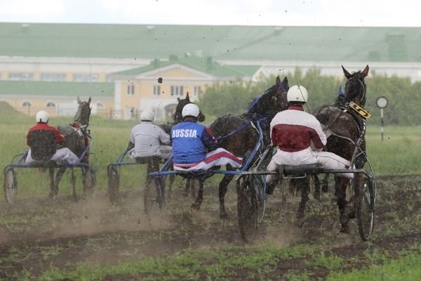 Курский ипподром. Курский ипподром фото. Ипподром Курск официальный сайт. Курский ипподром Центральный вход фото.