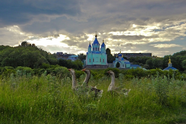 Курский край. Монастырь Курская Коренная пустынь зимой. Коренная пустынь Курская осенью. Природа Курского края Коренная пустынь. Пейзаж коренной пустыни Курской области.